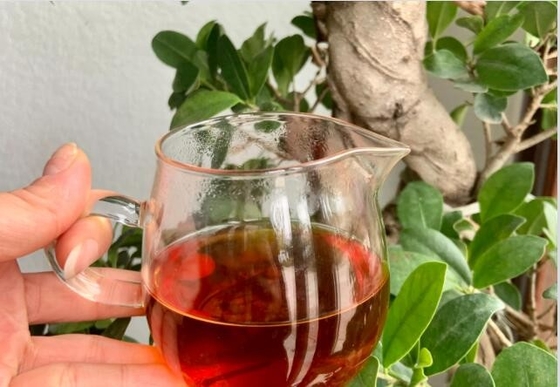 Фуцзяньский Feibai Anji Белый чай Маленький консервированный чай с фруктовым и цветочным ароматом